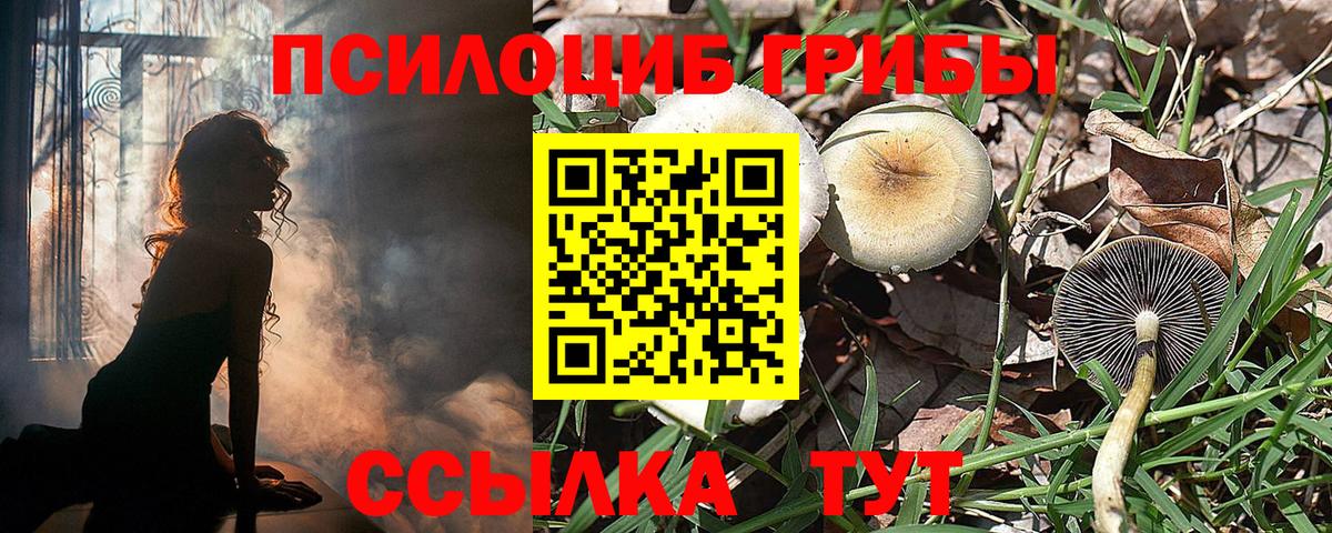 Псилоцибиновые грибы ЛСД  Галлюциногенные грибы мухоморы  Вход с VPN  Советская Гавань 